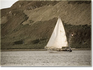 Holy Island Scotland